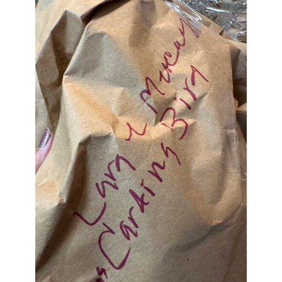 Dillards exclusive Southern Living Miracle & Wonder Collection Cardinal Ornament - Picture 10 of 11